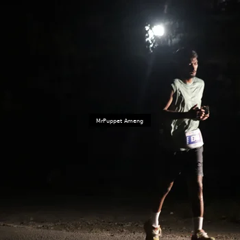 Runner Photo 4416278