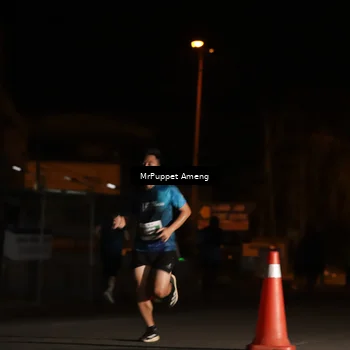 Runner Photo 4417073