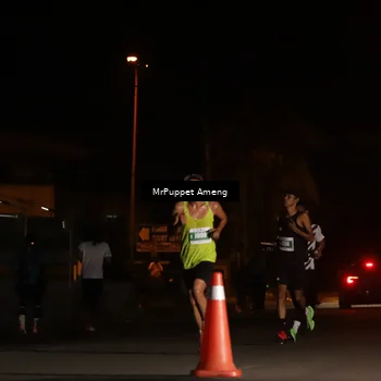 Runner Photo 4417197