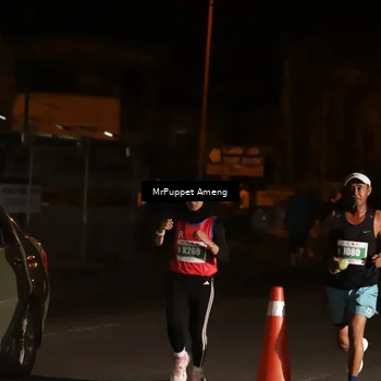 Runner Photo 4417547