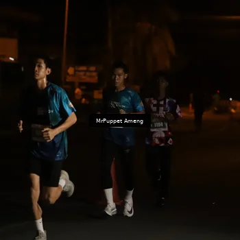 Runner Photo 4418348