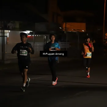 Runner Photo 4418482