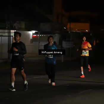 Runner Photo 4418543