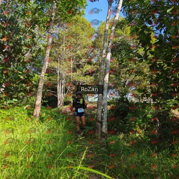 Runner Photo 4419