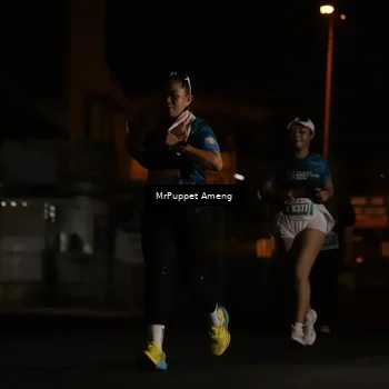 Runner Photo 4419876