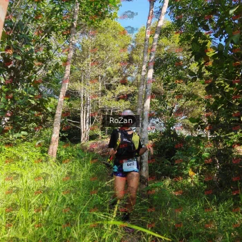 Runner Photo 4420