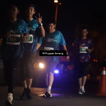 Runner Photo 4420649