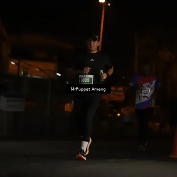 Runner Photo 4420838