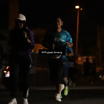 Runner Photo 4421328