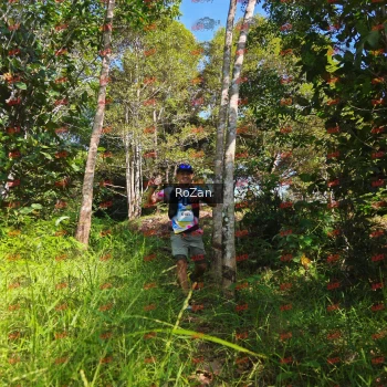 Runner Photo 4422