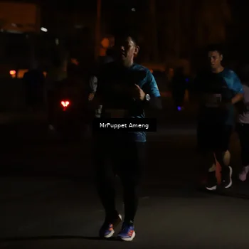 Runner Photo 4422728