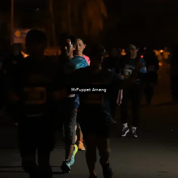 Runner Photo 4422898