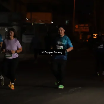Runner Photo 4423856