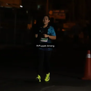 Runner Photo 4424175