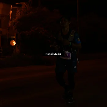 Runner Photo 4424333