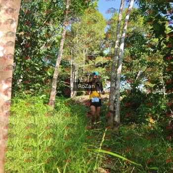 Runner Photo 4425