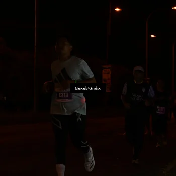 Runner Photo 4425004