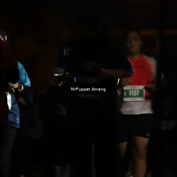Runner Photo 4426064