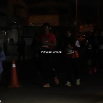 Runner Photo 4426848
