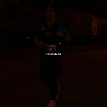 Runner Photo 4427775