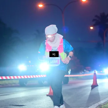 Runner Photo 4427841