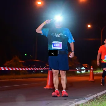 Runner Photo 4429226