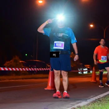 Runner Photo 4429250