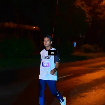 Runner Photo 4429935