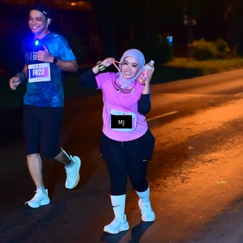 Runner Photo 4430040