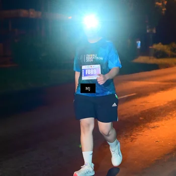 Runner Photo 4430319