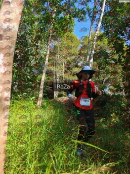 Runner Photo 4431
