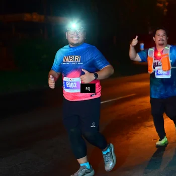 Runner Photo 4431644