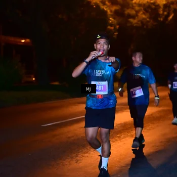 Runner Photo 4431726