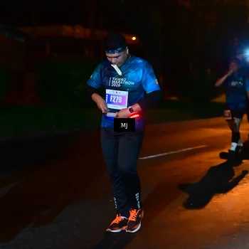 Runner Photo 4432171