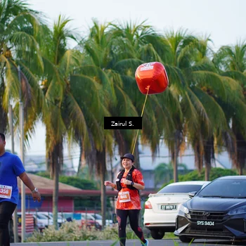 Runner Photo 4432670