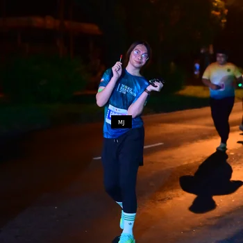 Runner Photo 4432773