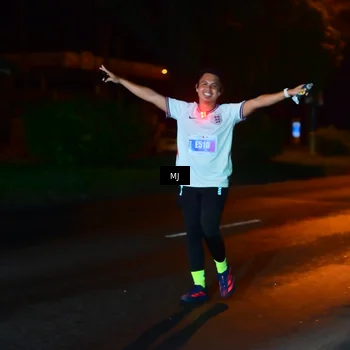 Runner Photo 4432861
