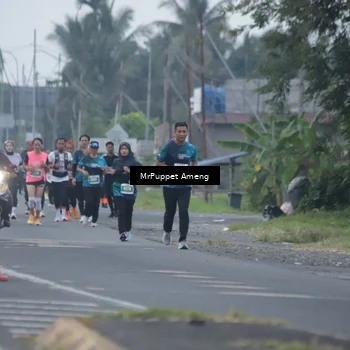 Runner Photo 4433015
