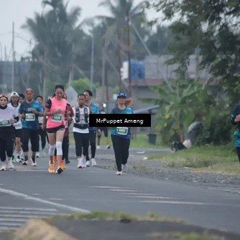 Runner Photo 4433179