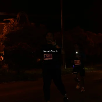 Runner Photo 4433294
