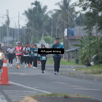 Runner Photo 4433356