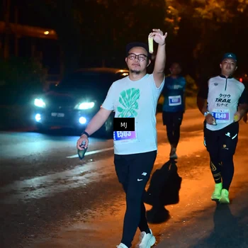Runner Photo 4433801