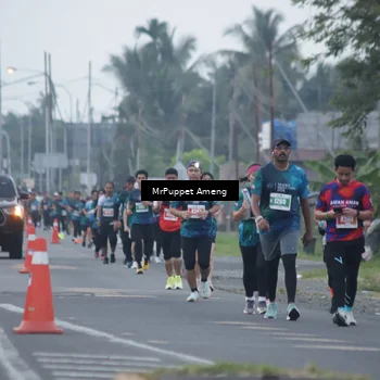 Runner Photo 4434071