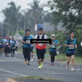 Runner Photo 4434143