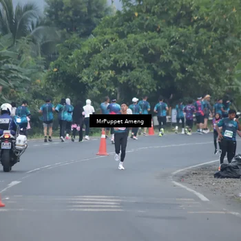 Runner Photo 4434535