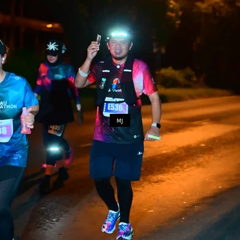 Runner Photo 4434619