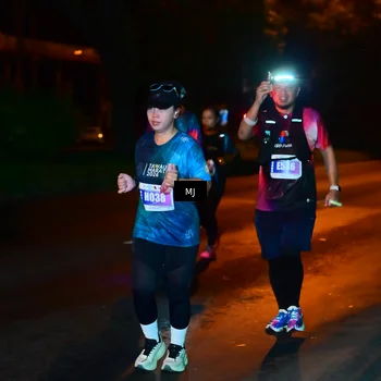 Runner Photo 4434628