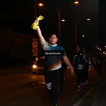 Runner Photo 4434705