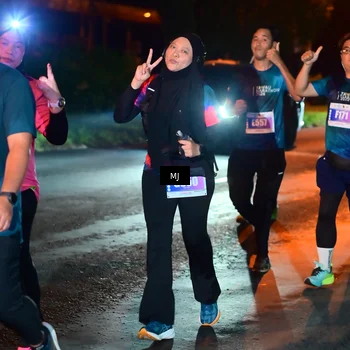 Runner Photo 4434791