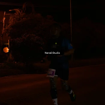 Runner Photo 4435328
